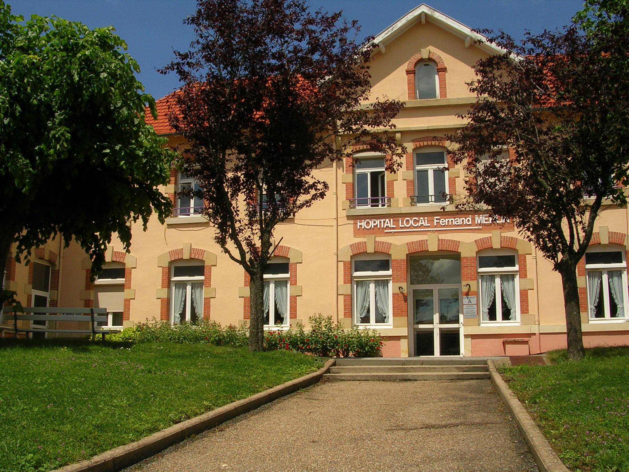 Centre Hospitalier Fernand Merlin (Saint-Just-la-Pendue)